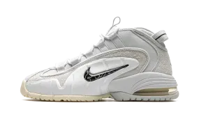 AIR MAX PENNY "Photon Dust" Grounded Stability Responsive Bounce Pro
