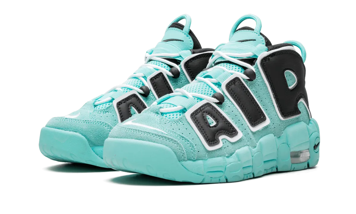 Endurance Support Tech Streetplay Sport Look Air More Uptempo (GS) "Light Aqua"