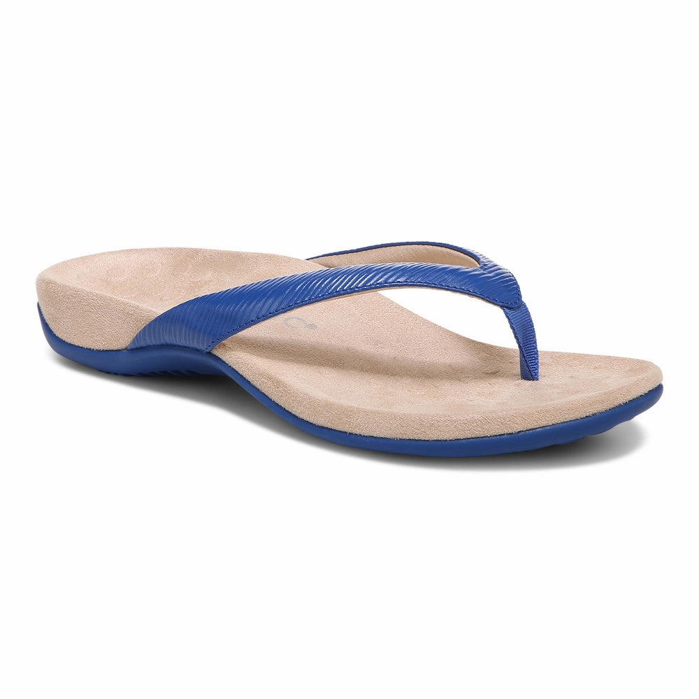 Dillon - Classic Blue Non Marking Outsole