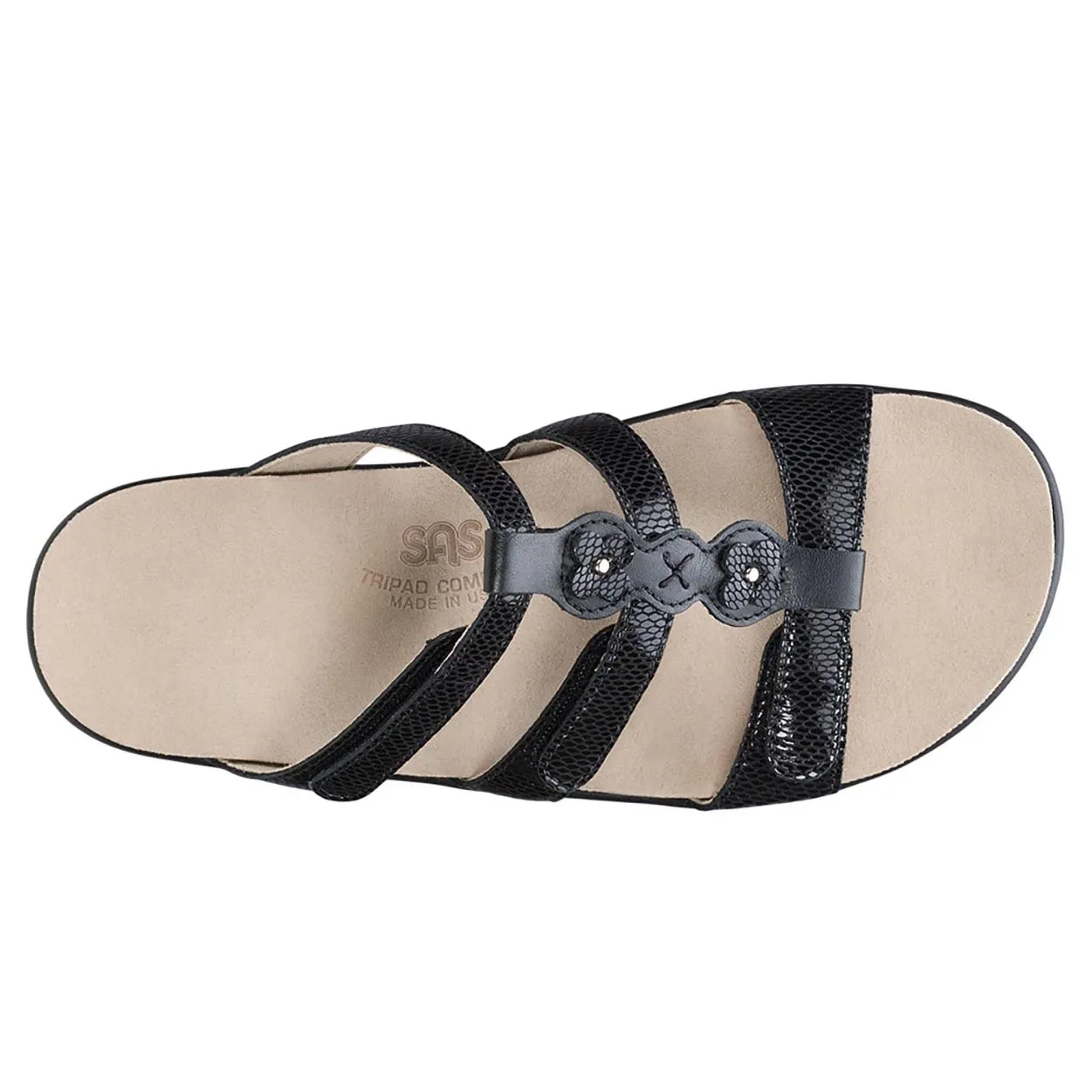 Naples - Black Snake Grab And Go Chill Walk