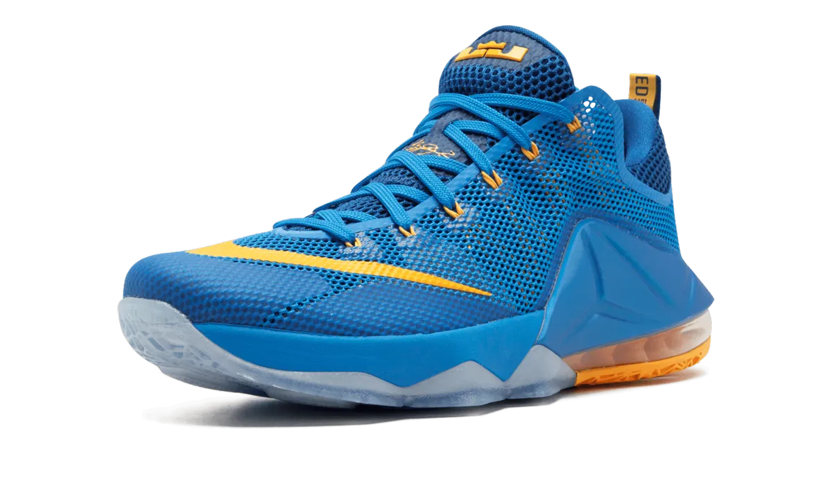 Lebron 12 Low "Entourage" Strobel Board Thermal Regulating Lining