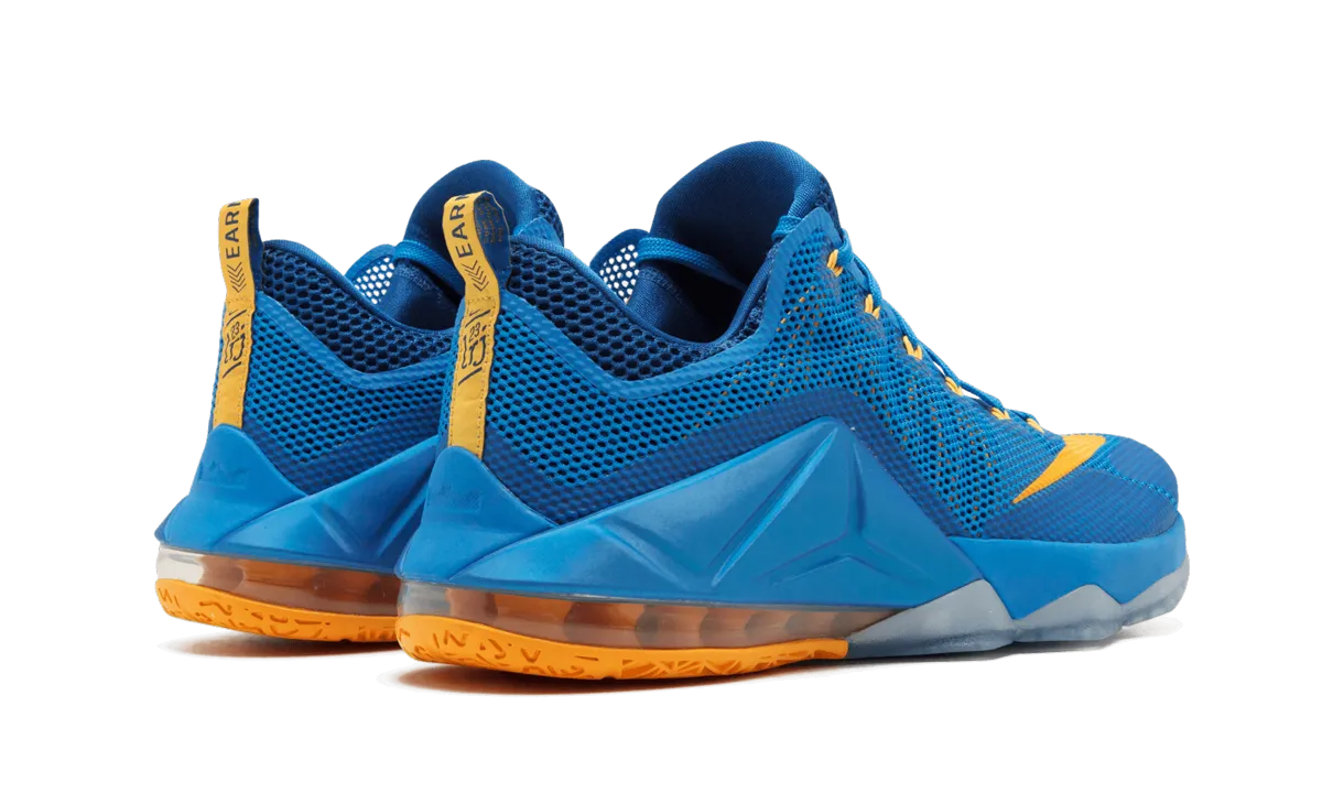 Lebron 12 Low "Entourage" Stretchable Mesh Hexagonal Grip Texture