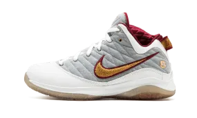 Comfort Performance Lebron VII P.S (POP) "MVP"
