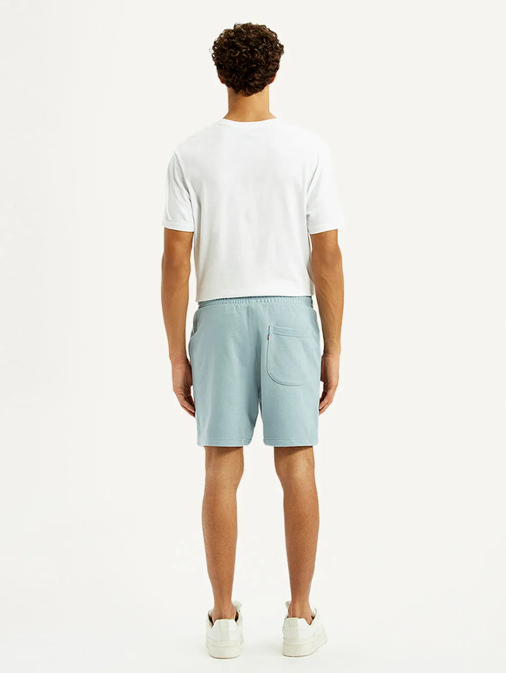 Fit Flex Men's Light Blue Regular Fit Shorts